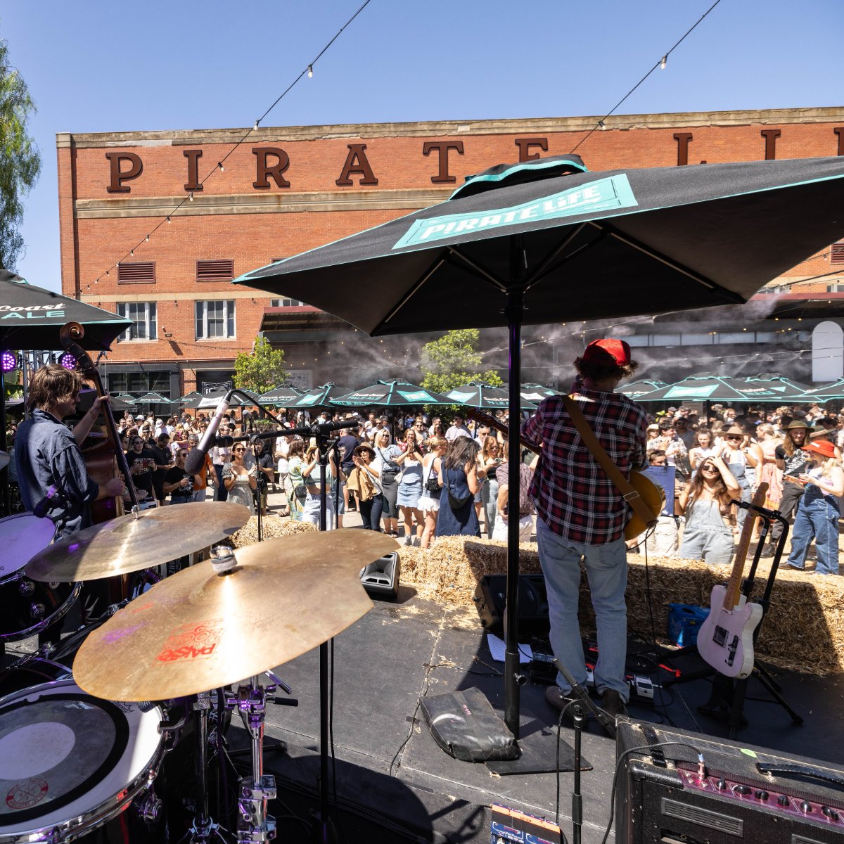 Pirate Life Brewing — photo 4