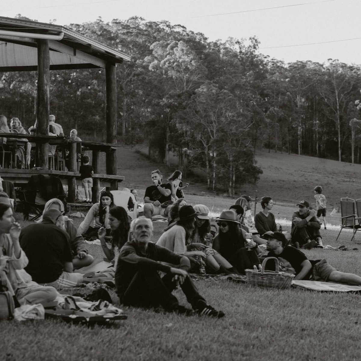 Eungai Creek Buffalo Farm — photo 4