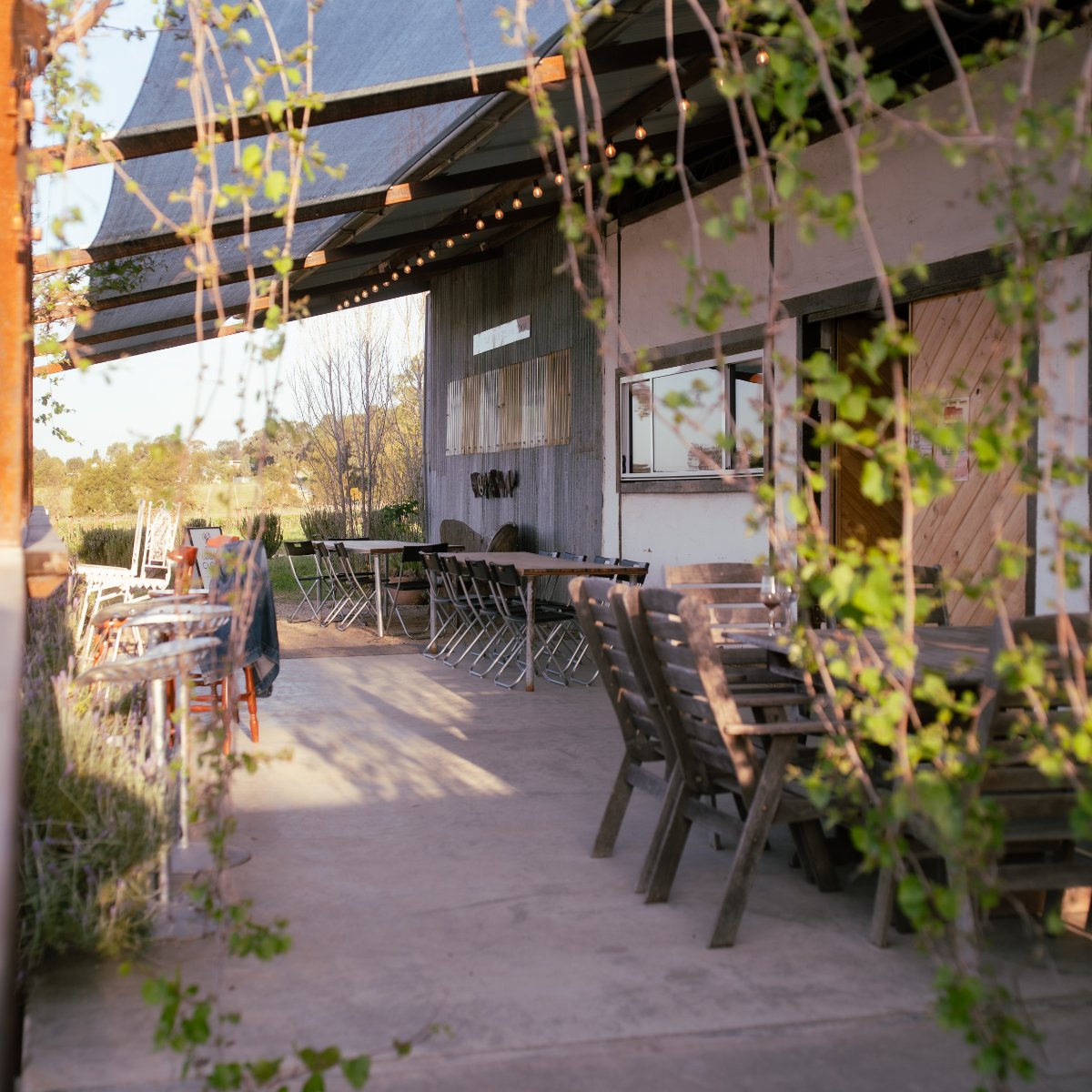 Rosnay Organic Winery — photo 5