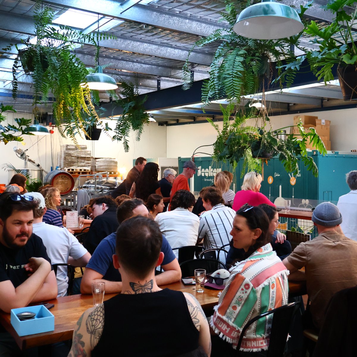 Seeker Brewing — photo 3