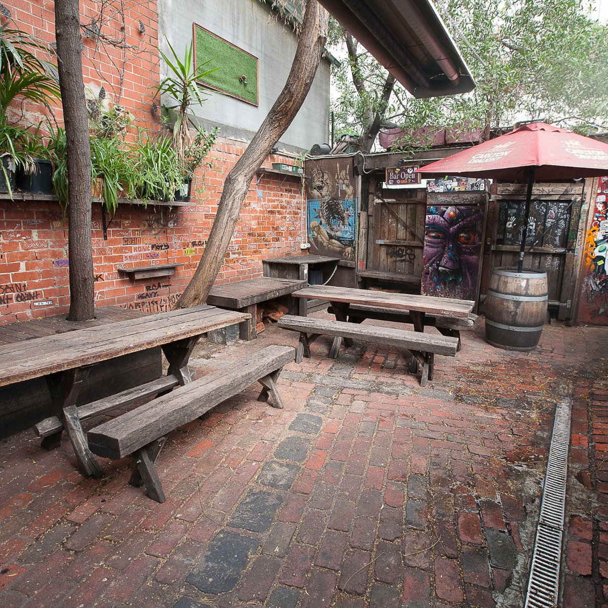Bar Open — photo 3
